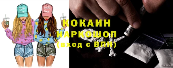 молекула духа Пестово