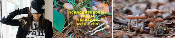 молекула духа Пестово