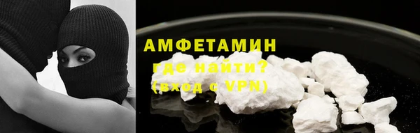 молекула духа Пестово