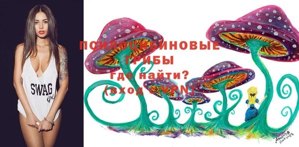 МДПВ Переславль-Залесский