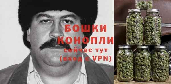 молекула духа Пестово