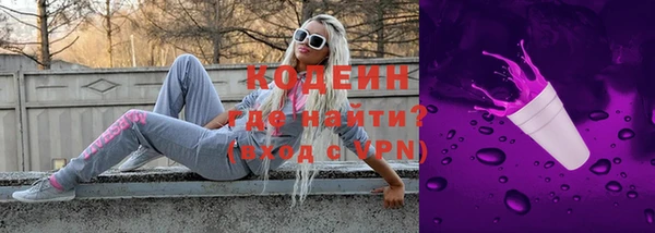 молекула духа Пестово
